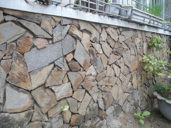 đá rối ốp tường