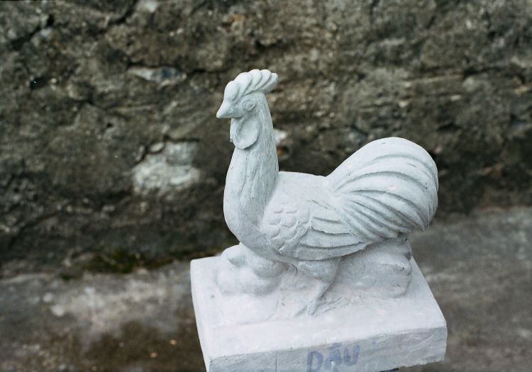 linh vat dau nb td07