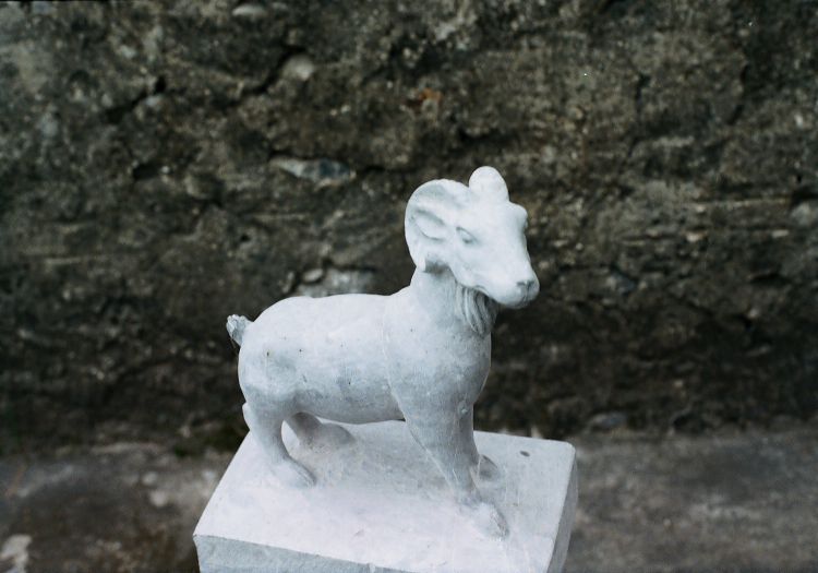 linh vat mui nb td05