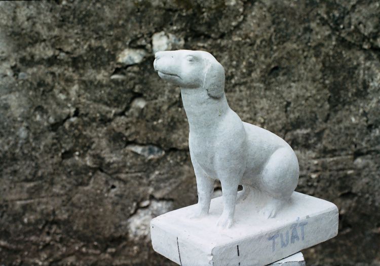 linh vat tuat nb td08