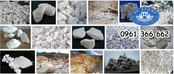 kham pha dac diem cac loai da op lat 2