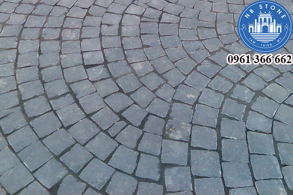 kham pha dac diem cac loai da op lat 4