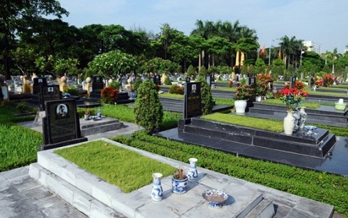 luu y phong thuy khi trong cay tai mo