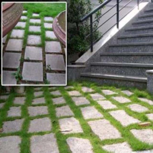 cong ty chuyen da op lat uy tin tai ha noi 2