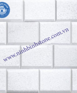 Đà băm muối soi cạnh NBS-DBMGX 206