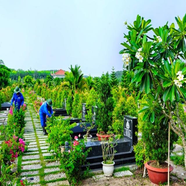 cham soc mo ma to tien nhu the nao 1