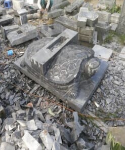 Rùa đội bia đá