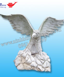 Đại bàng tung cánh NBS-ĐB 204