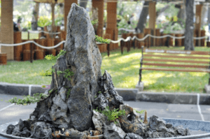 tu van thiet ke hon non bo cho nguoi menh thuy 1