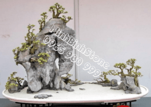 co nen dat hon non bo mini trong chung cu duoi 100 m vuong khong 1