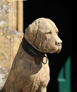 Chó Đá phong thuỷ đẹp NBS-TCĐ 238