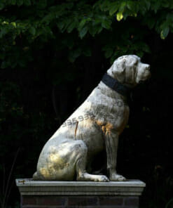 Chó Đá tự nhiên phong thuỷ NBS-TCĐ 247