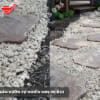 da lat san vuon nbs dcb33