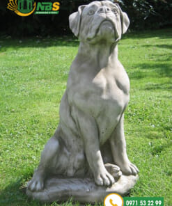 Chó Đá NBS-TCĐ 251 phong thuỷ đẹp
