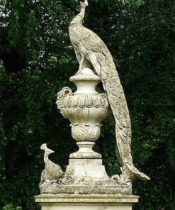 Lục Bình Đá NBS-LBD218