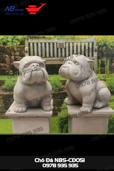 cho da tinh te 6