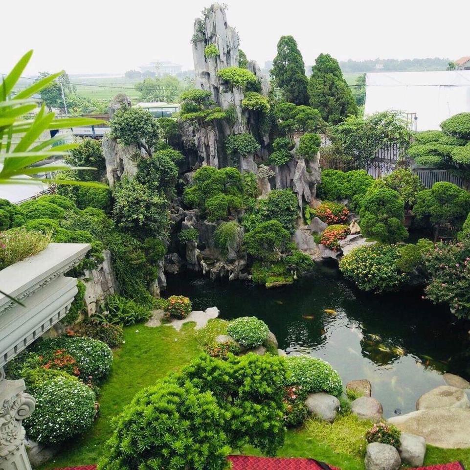 57377379 2213375632084650 4369594160949231616 o