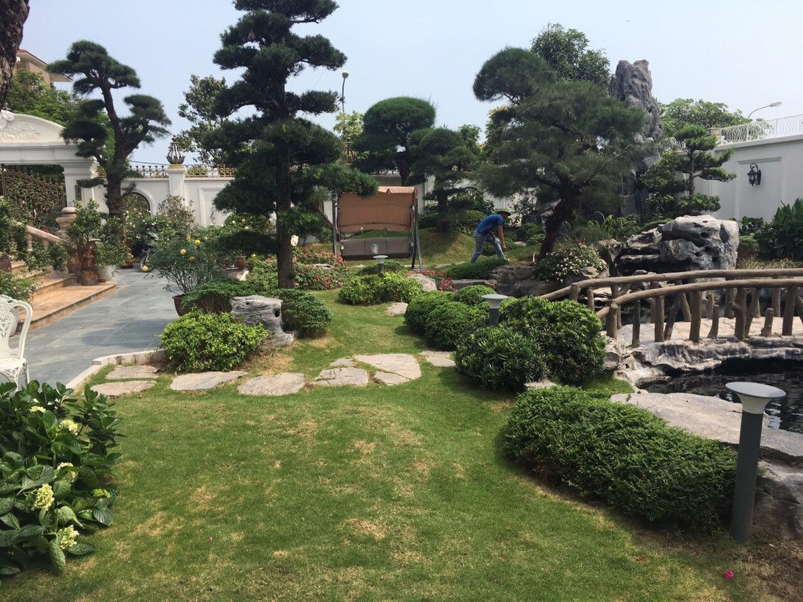 57503108 2213375638751316 2116107790916255744 o