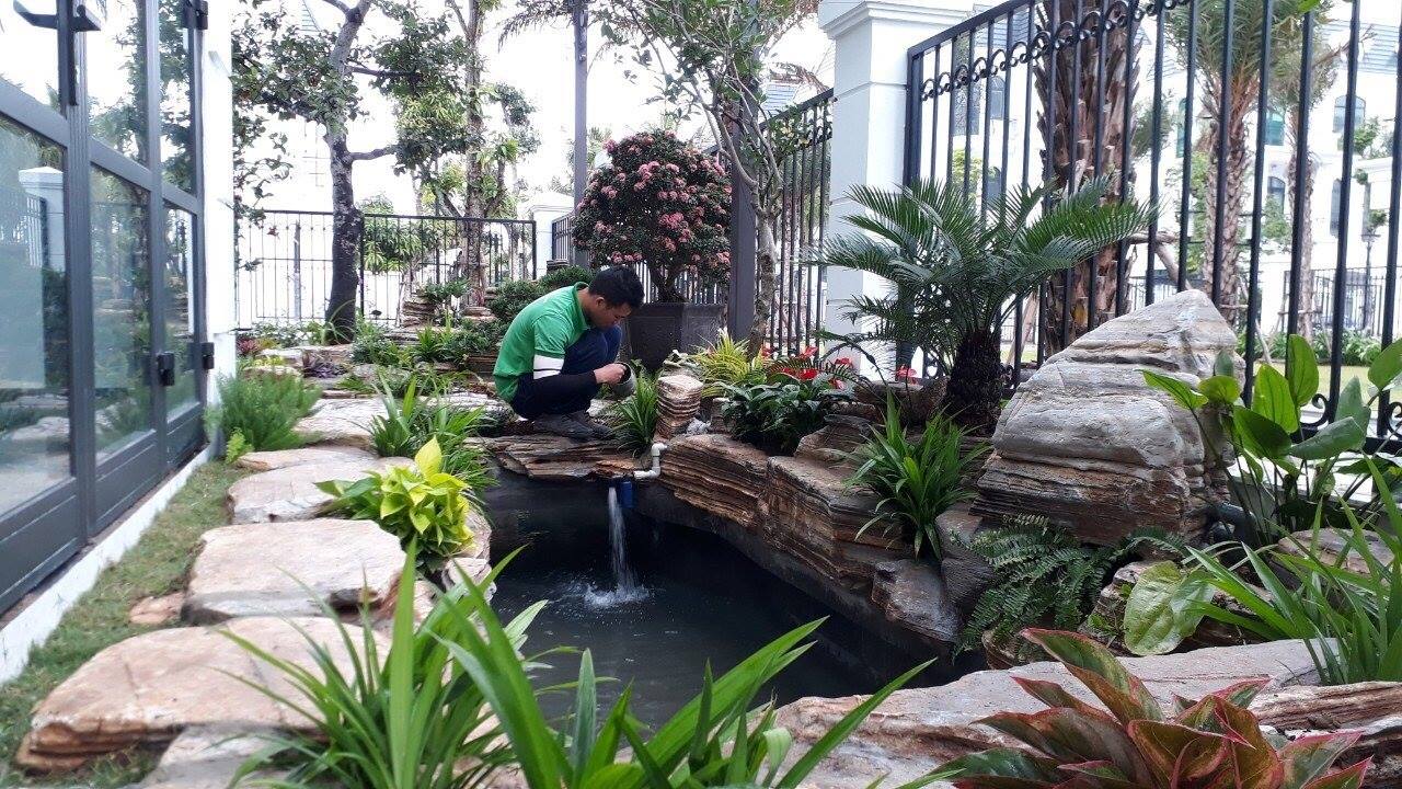 58372465 2213375742084639 4312941858687811584 o