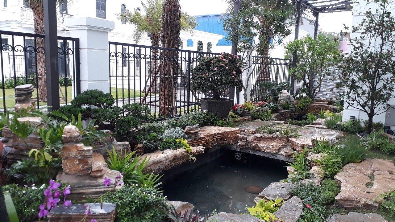 58442374 2213375818751298 7535566953155395584 o