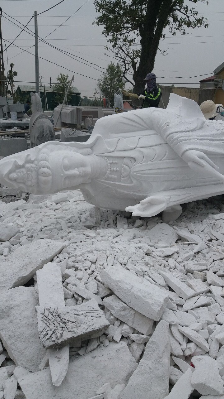 81cec01d230fc6519f1e