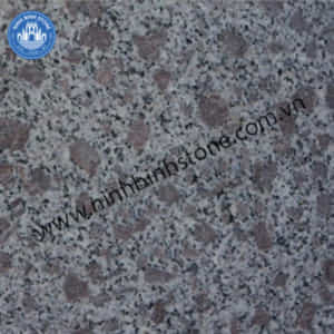 g-tím-hoa-cà-bình-định