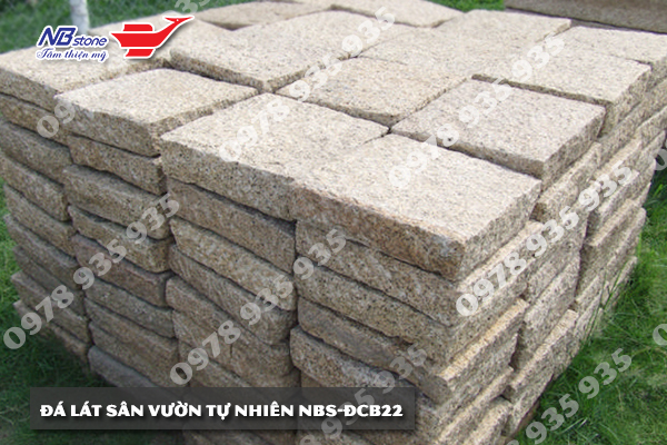 da lat san vuon nbs dcb22 1