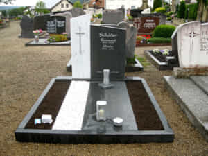 mo-da-hoa-cuong-cong-giao-nbs013