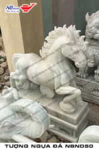 tuong-ngua-da-NBND50