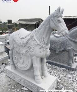 tuong-ngua-da-dep-nbnd-59-1