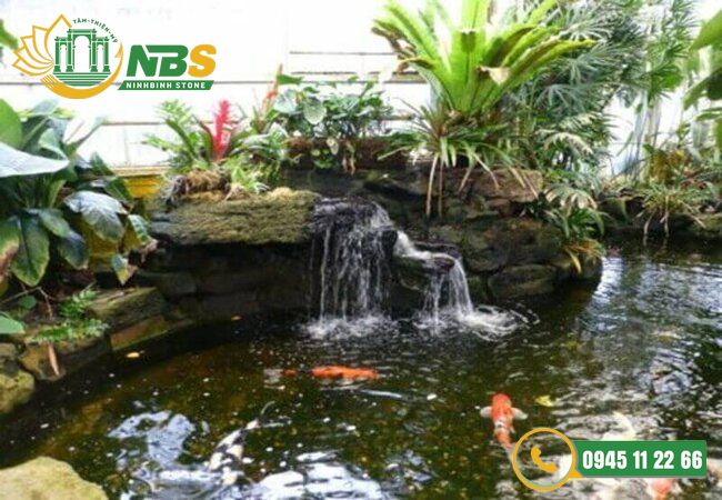 Mot so luu y khi choi hon non bo mini nuoi ca