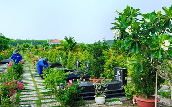 Top 15 cây nên trồng trong nghĩa trang gia đình hợp phong thủy