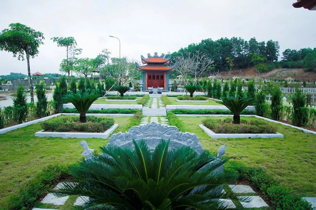 Cây vạn tuế mang ý nghĩa xua đuổi tà ma